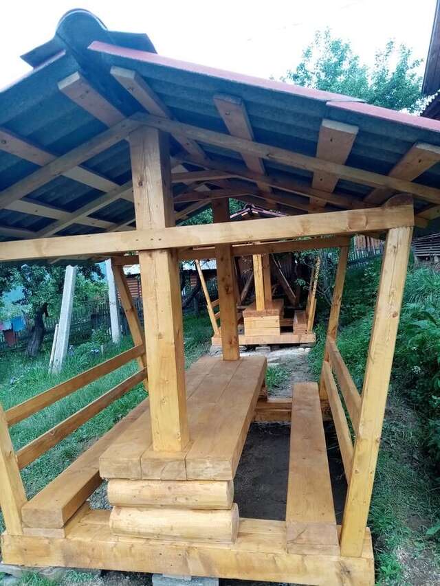 Загородные дома микуличин на долоні Микуличин-10